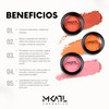 Rubor En Polvo Profesional Makeup Atelier PR025, Acabado Sedoso Natural,