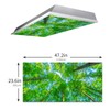 Fluorescent Light Covers for Classroom Office - Eliminate Harsh Glare