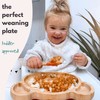 Bubba Boo Bamboo Baby Plate and Spoon Set Baby Suction
