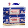 Raajsee Incense Stick Holder Bundle with Satya Nag Champa Incense