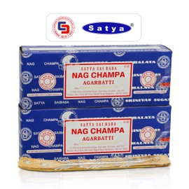Raajsee Incense Stick Holder Bundle with Satya Nag Champa Incense Sticks 250 gmx 2 Pack (500 GMS), Insense Sticks Nag Champa Agarbatti