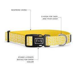 Tella & Stella - Dog Collar & Leash Set for Small Dog - 5 ft Long 5/8″ Leash Wide - Recycled Water Bottles Adjustable Collar 9 to 12.5" - Lined with Neoprene - D Ring for Hooking Accessories (Medium)