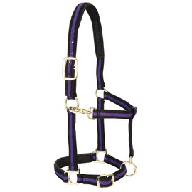 Weaver Leather Padded Adjustable Nylon Horse Halter, Purple, 1" Small Horse