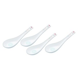 World Of Flavours Oriental Spoons