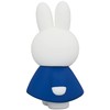 UDF Ultra Detail Figure No.704 Dick Bruna Series 5 Charameru