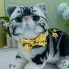 Newtensina Fashion 2 Pieces Cute Bee Dinosaurs Pattern Cat Collar