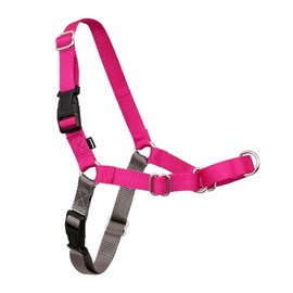 PetSafe Easy Walk Arnés para Perro, Anti tirones, Frambuesa/Gris, M
