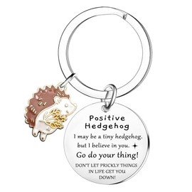 Tihnvk Funny Positive Hedgehog Gifts Hedgehog Keyring For Friends Coworker Emotional Support Hedgehogs Gifts