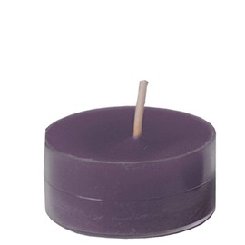 Spaas 12 Maxi Scented Tealights in Transparent Clear Cup, ± 10 Hours, Joyful Excitement, Aubergine