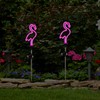 Flamingo Solar Garden Stake Lights, [Set of 2] Outdoor Solar