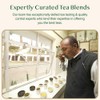 VAHDAM, Mint Green Tea Bags (30 Count) 100% Pure Leaf