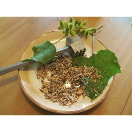 Tame the Spirit Burdock Root, (Arctium Lappa) Cut Dried Root, Appalachian Mountains Wild Harvest - 2 Ounce