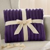 Bedsure Bedsure Purple Twin Blanket for Bed - GentleSoft Cozy