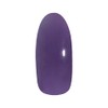 PRE GEL Color EX Gem Violet 3g PG-CE930 UV/LED Compatible
