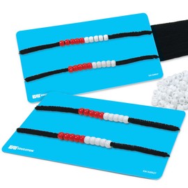 EAI Education Rekenrek Build-a-Set