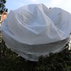 Non Woven Plant Cover Blankets for Freeze Protection Sun and