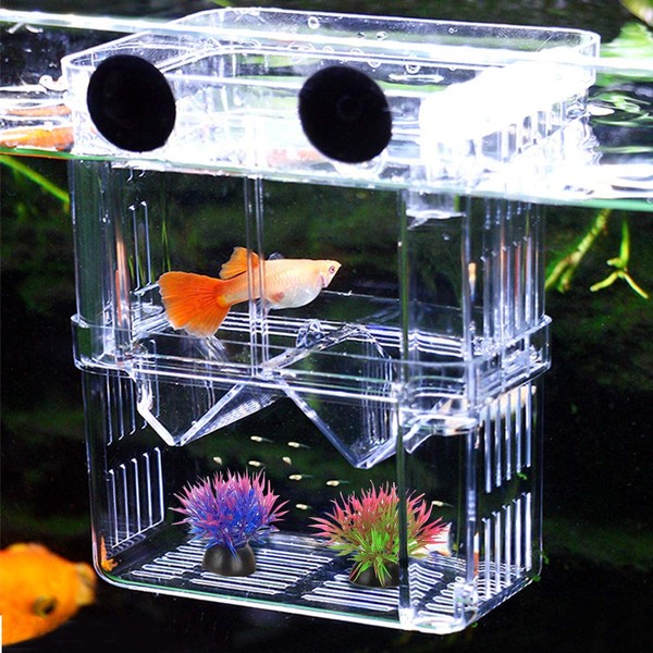NETUME Breeding Tank for Aquariums, Acrylic Double Layer Fish Breeding