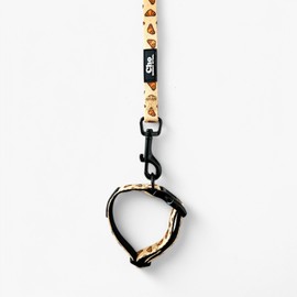 Dog Leash and Collar Set – Padded Handle & Neck with Heavy Duty Nylon, Available in XS/S/M/L - Choose from 4 Vibrant Colorful Patterns (X-Small, Beige Croissant)