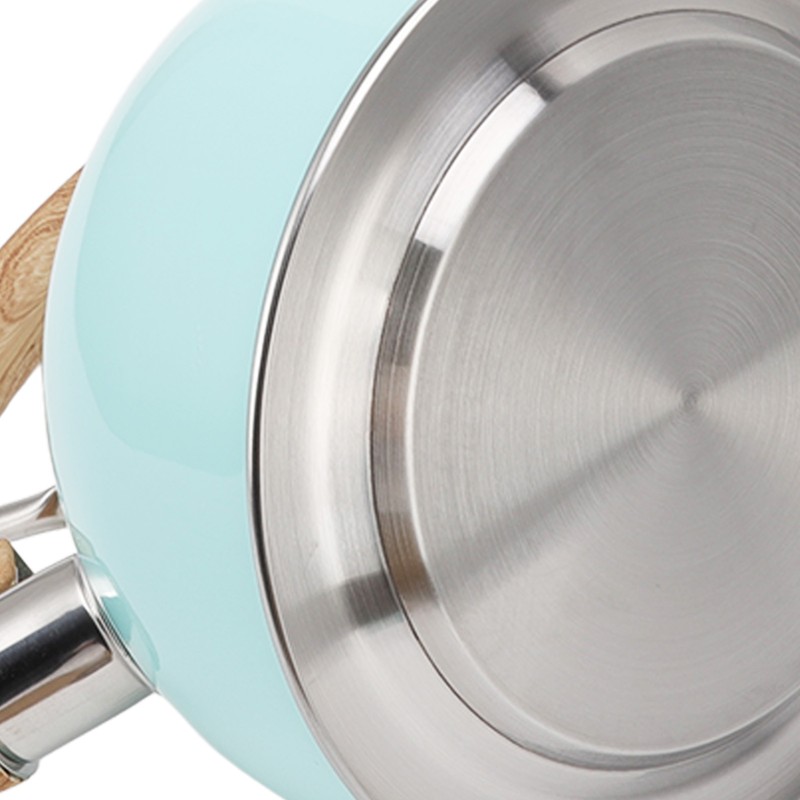 2.5L Whistling Tea Kettle with Handle Stainless Steel Portable Stovetop