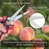 BELIJA Gardening Scissors Hand Pruner Pruning Shear with Straight Stainless