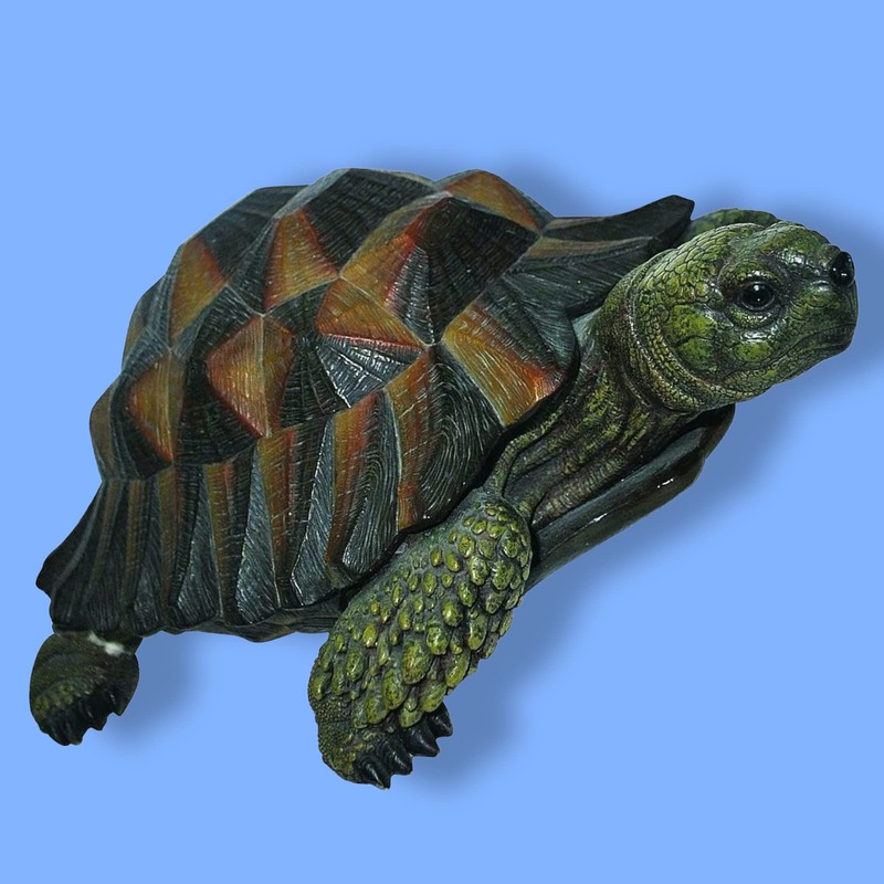 Props4shows Vivid Arts Tortoise - 17cm