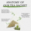 Avocado Tea Party With Five Blends | Variety tea Pack