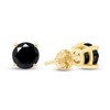 0.12 Carat (Cttw) Round Black Natural Diamond Screw Back Stud