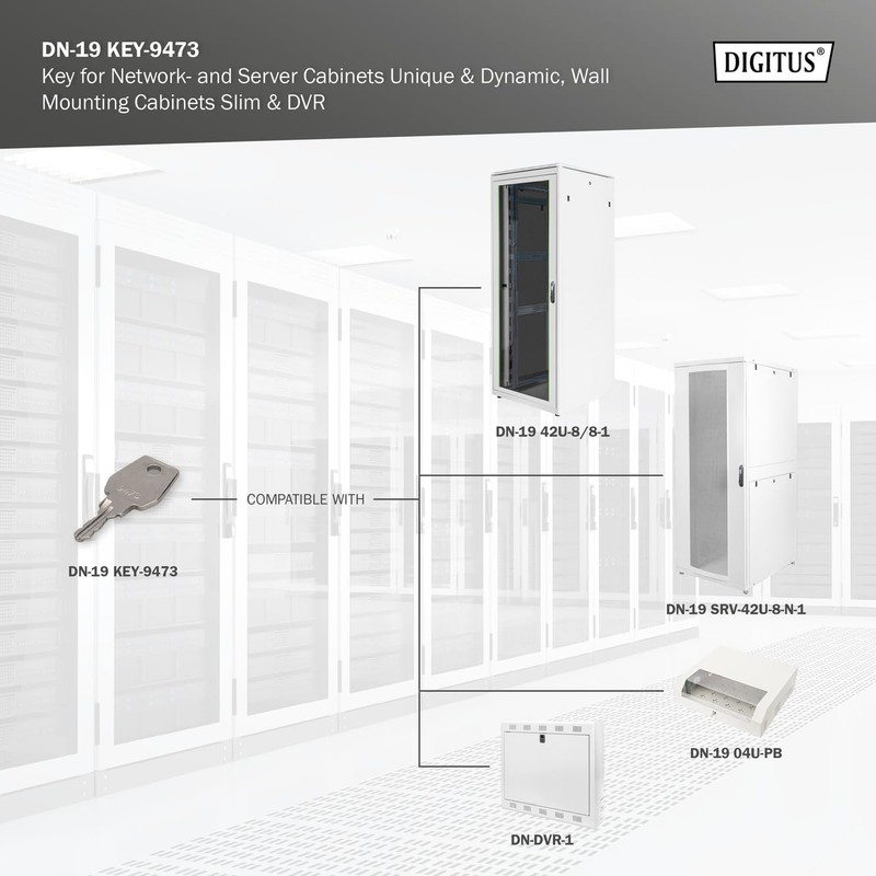 DIGITUS Professional DN-19 KEY-9473 Key, Silver