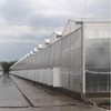 ZOUXIKOU Clear Polycarbonate Roofing Sheet, Plastic UV Resistant Greenhouse Shed