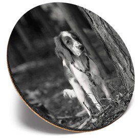 Round Single Coaster - BW - Welsh Springer Spaniel Dog Puppy |Glossy Quality Coasters | Tabletop Protection for Any Table Type #37758