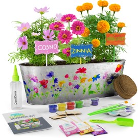Dan&Darci Paint & Plant Flower Growing Kit for Kids - Gift Ideas Age 5 6 7 8-12 Year Old Girl - Birthday Crafts Gifts for Girls & Boys, Fun Gardening Kits, Art Projects for Ages 5-12 Years