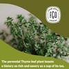 FGO Organic Thyme Leaf Tea, 100 Count, Eco-Conscious Tea Bags,