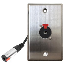 DIYTECH Premium 1/4 TRS Wall Plate, Solderless, 6.35mm Jack, Audio, Guitar Input, No Solder, for Professional Audio Installations, Stainless Steel (1 Port)