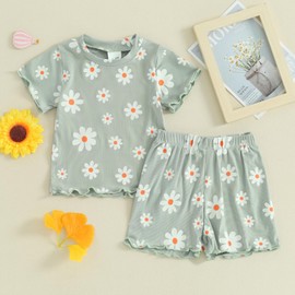 Newborn Baby Girls Summer Shorts Clothes Sets Toddler Infant Floral Short Sleeve T-shirts+Daisy Outfit (R-Green, 6-12 Months)
