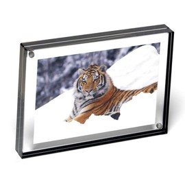 Color Edge Magnet Frame by Canetti-Graphite-6x8 inch