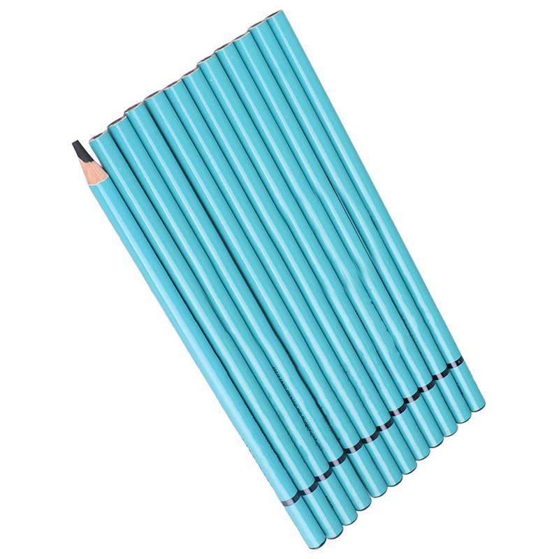 12pcs Charcoal Pencils Set Synthetic Wood Sketching Drawing Pencils for