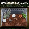 6 Pack Tarantula Ceramic Feeding Bowl Hermit Crab Water Bowl