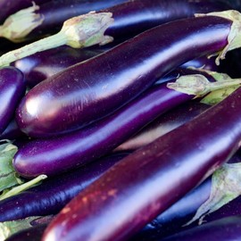 Eggplant Seeds - Long Purple - 1/4 Pound - Vegetable Seeds, Heirloom Seed, Open Pollinated Seed Easy to Grow & Maintain, Container Garden