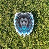 Dirty Birdie Golf | Premium Metal Golf Ball Markers |