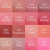 Dinto [Dinto]Blur Glowy Lip Tint (30 colors)