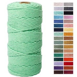 ZXCDINO Aqua Green Macrame Cord 3mm x 109Yards,Colored Cotton Rope Craft Cord Colorful Cotton Cord Twine for Wall Hanging Plant Hangers Crafts Knitting Decorative Projects