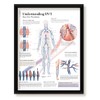 Understanding DVT Deep Vein Thrombosis Framed Medical Educational Informational Poster