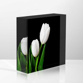 NOHSHE Acrylic Desk Ornaments for Office Beautiful White Tulips - Valentines Day Presents for Office Staff - Thank You Presents for Women Teacher