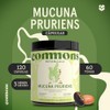 Commons Hongos Adaptógenos - Frijol Mucuna 120 cápsulas - Suplemento