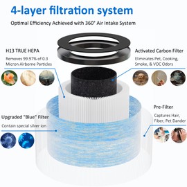 2 Pack MK01 MK06 True HEPA Replacement Filter Compatible with MK01 MK06 and DH-JH01 Air Purifier, Standard Version
