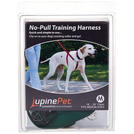 LupinePet Basics 1" Green 26-38" No Pull Harness for Medium-Larger Dogs