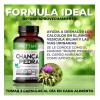 Chanca Piedra Prettan Suplemento 600 Mg 90 Cápsulas