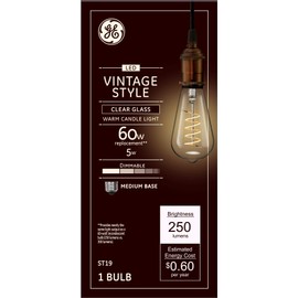 GE Lighting Vintage Edison Style LED Light Bulb, 5 Watts (60 Watt Equivalent) Warm Candle Light, Clear Glass, Medium Base, Dimmable (1 Pack)
