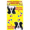 Border Collie 18"x18" Magnetic Dog Mailbox Cover