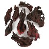 Organic Hibiscus Flowers Premium Loose Leaf Herbal Tea - Chiswick